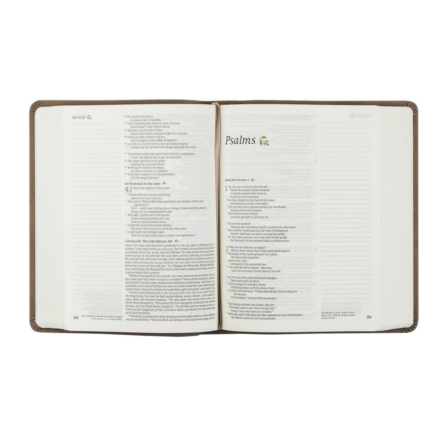 Marlo Journaling Bible