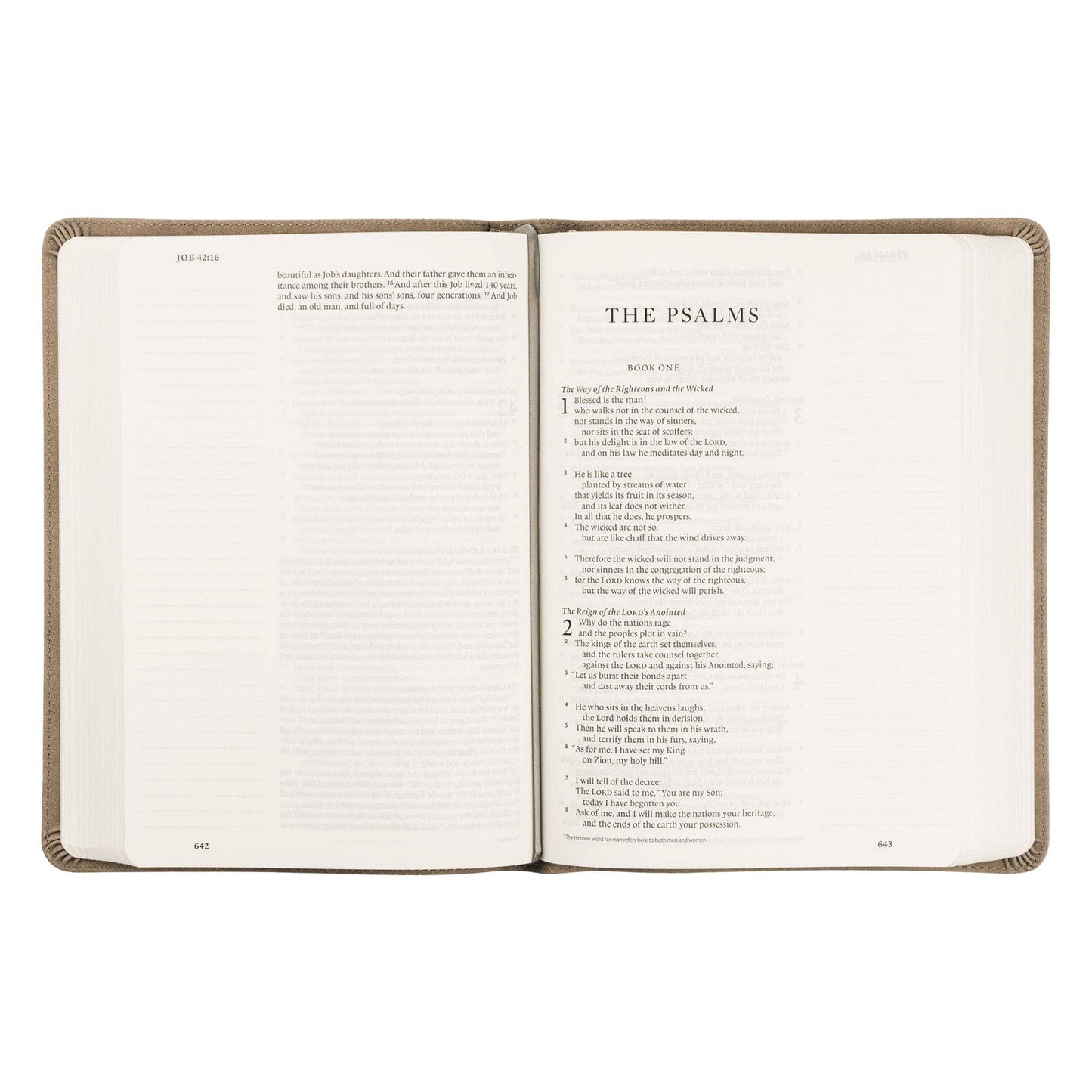 Nara Large Print Journaling Bible