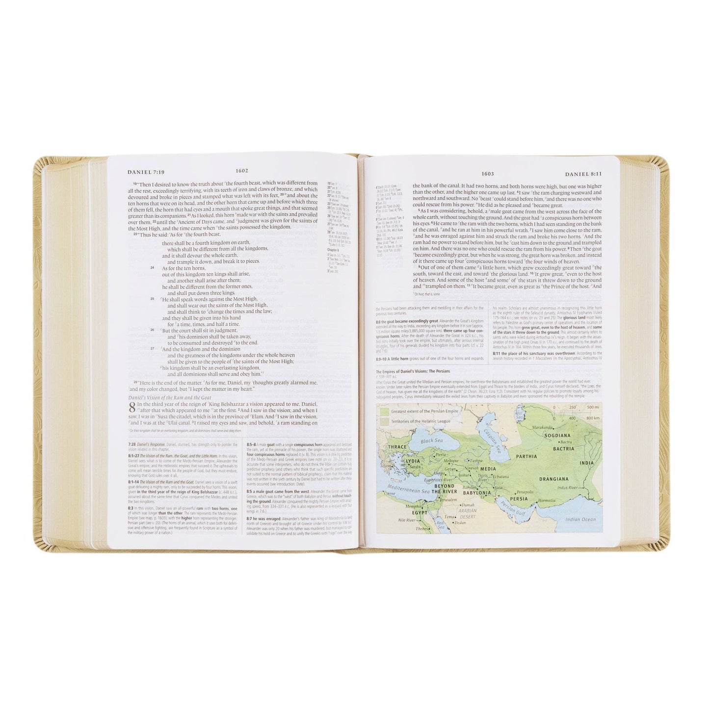 Sonora Study Bible