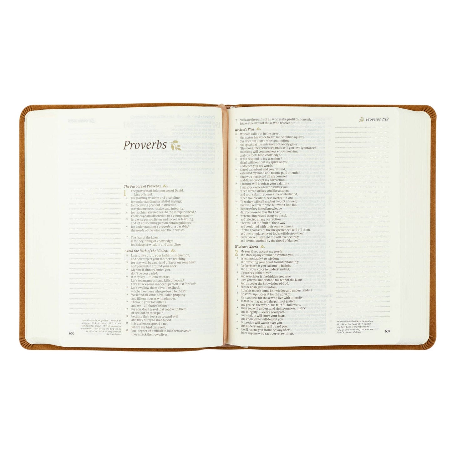 Amelia Journaling Bible